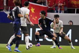 国家代表性